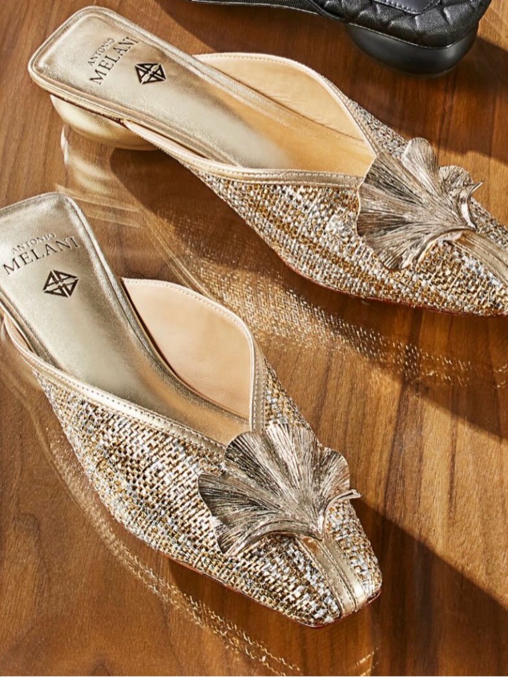 Antonio Melani Joy Mesh Ornamented Dress Mules